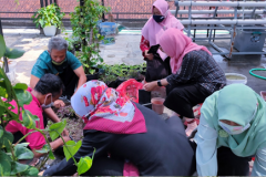 BUDIDAYA-TANAMAN-HIAS