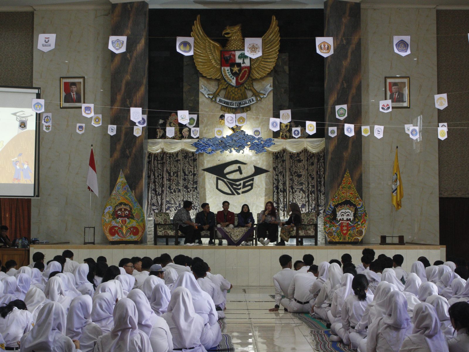 owl-bg